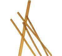 Cannetta bamboo Ø 16 mm-18 mm, altezza 240 cm