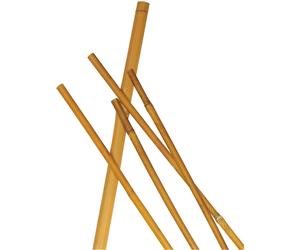 Cannetta bamboo Ø 8 mm - 10 mm, altezza 90 cm