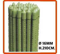 Cannetta in metallo plasticato orto giardino supporto per piante ortaggi h210cm