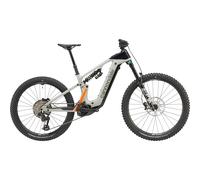 Cannondale Moterra Carbon LT 1 - Grigio M / Grigio