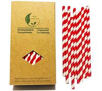 Cannucce di Carta a Strisce Rosse e Bianche, 100 Cannucce a Righe Rosse Usa e Getta, Sucker Monouso per Feste Decorative, Cocktail, Bevande