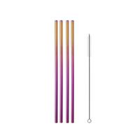 Cannuccia Acciaio Inox Cannucce riutilizzabili da 4/8 pezzi in acciaio inossidabile 304 con spazzola for pulizia