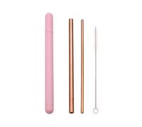Cannuccia Acciaio Inox Stainless Steel Straw Set Metal Straw Reusable Drinking Straw With Cleaner Brush Portable Box(Rose Gold-Pink Box)