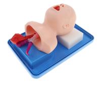 Cannula Per Tubo Dell'aria Per Manichino Per Intubazione Infantile Modello Di