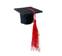 CANNXI Elegante fermaglio per capelli per cappello da laurea, facile da usare, fermaglio per capelli personalizzato per appassionati di copricapo