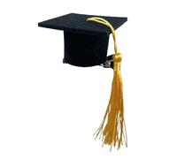 CANNXI Elegante fermaglio per capelli per cappello da laurea, facile da usare, fermaglio per capelli personalizzato per appassionati di copricapo
