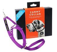 Canny Collar Collare a Cavezza Antitiro per Cani che Tirano, Viola Taglia 6 | Camminare senza tirare, addestramento al guinzaglio, controllo delicato e passeggiate tranquille senza correzioni brusche.