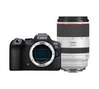 Canon EOS R6 mark II + RF 70-200mm f/2.8L IS USM