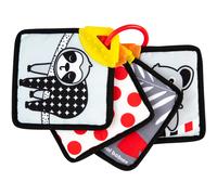 Canpol babies BabiesBoo Sensory Cards with Teether libro evolutivo con dentaruolo 1 pz