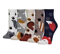 Cansok Calzini da donna scoiattolo Volpe novità dell'equipaggio al polpaccio del vestito confezione da 5