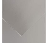 Canson 141685 - Cartolina IRIS 50X65 280G Argentato, 25 fogli