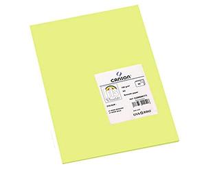 Canson 200040171 Cartolina A4, Confezione da 50 Pezzi, Verde