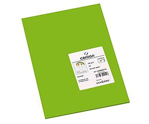 Canson 200040172 Cartolina A4, Confezione da 50 Pezzi, Verde