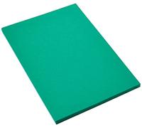 Canson 200040174 Cartolina A4, Confezione da 50 Pezzi, Verde