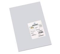 Canson 200040177 Cartolina A4, Confezione da 50 Pezzi, Grigio