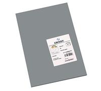 Canson 200040178 Cartolina A4, Confezione da 50 Pezzi, Grigio