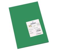 Canson 200040209 Cartolina A3, Confezione da 50 Pezzi, Verde