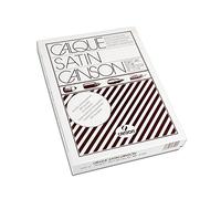 Canson C200017109 carta da disegno Lucido 500 fogli
