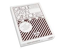CARTA LUCIDA SATINATA A4 90-95 C31310X000 GR 250FG CANSON