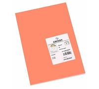 Canson Iris - Cartoncino A4, confezione da 50 fogli