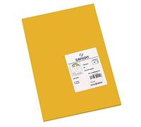 CANSON Iris Vivaldi - Confezione da 50 fogli di carta A4, 185 g/m², in pelle