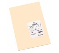 CANSON Iris Vivaldi - Confezione da 50 fogli di carta A4, 185 g/m², pelle
