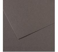 Canson Mi-Teintes 50x65 cm Gris Ardoise 345 160 g Carta colorata
