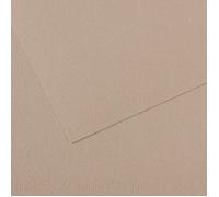 Canson Mi-Teintes 50x65 cm Gris Cansonanelle 122 160 g Carta colorata