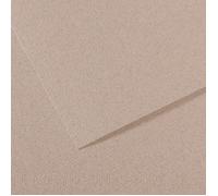 Canson Mi-Teintes 50x65 cm Gris Clair 426 160 g Carta colorata