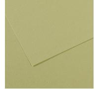 Canson Mi-Teintes 50x65 cm Vert Amande 480 160 g Carta colorata