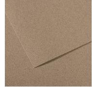 Canson Mi- Teintes Carta polpa Colorata, 160 g/m², Grigio (Steel Grey-431), 21x29,39, 25 unità