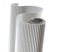 Canson Rotolo 50 x 70 cm Argento