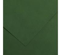 Canson Vivaldi A3 Fir Tree 31 185 g Carta colorata