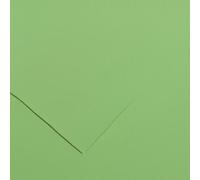 Canson 200040171 Cartolina A4, Confezione da 50 Pezzi, Verde