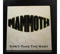 Can't Take The Hurt - Mammoth 12"