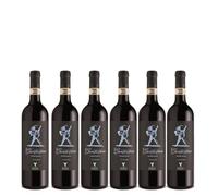 CANTASTORIE CHIANTI RISERVA DOCG