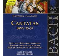 Cantatas Bwv 35-37(Geist Und Seele