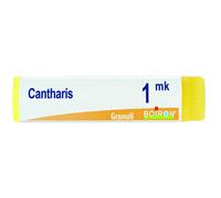 Cantharis Mk Gl