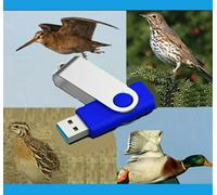 CANTI per richiamo elettronico uccelli Mp3 tordo merlo caccia anatre acquatici