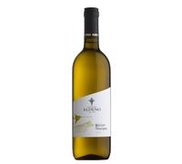 Cantina Aldeno - Müller Thurgau Trentino Bio Vegano cl 75