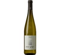 Cantina Andrian Pinot Grigio 2024