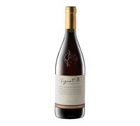 Cantina Belisario Vigneti B. Bio Colli Maceratesi Rosso D.O.C. - 750 ml