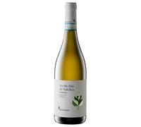 Cantina Belisario Vino - 750 ml