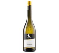 Cantina Caldaro Chardonnay Südtirol - Alto Adige DOC 2024 0,75 ℓ