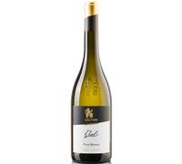 Cantina di Caldaro Kaltern - Alto Adige Pinot Bianco Vial 2019
