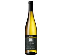 Südtirol Alto Adige Gewürztraminer DOC