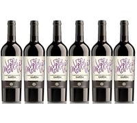 Cantina di Custoza - Cabernet Sauvignon Garda DOC Val dei Molini 6 x 0,75 lt - Vino rosso