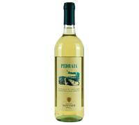 Cantina di Santadi Pedraia Nuragus di Cagliari DOC 2024 0,75 ℓ