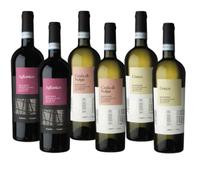 Cantina di Solopaca Mix Campania Greco, Coda di Volpe e Aglianico Sannio DOP | Vino Bianco e Rosso | 6 Bottiglie 75Cl | Offerta