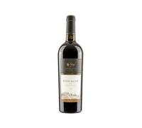 CANTINA GOZZI SALINE ROSSO ALTO MINCIO IGT 2020 0,75 LT 88256